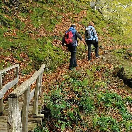 Apartamento La Casona De La Roza